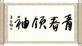 青春领袖