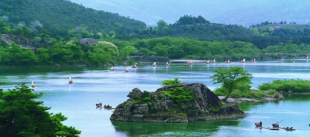 [温州]世界温州人