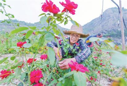 矿山复绿花儿正红