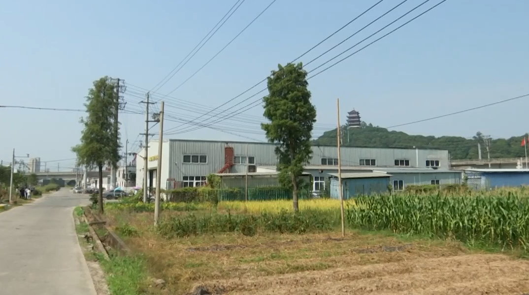 平阳：潘南村四家企业占用耕地违法建设