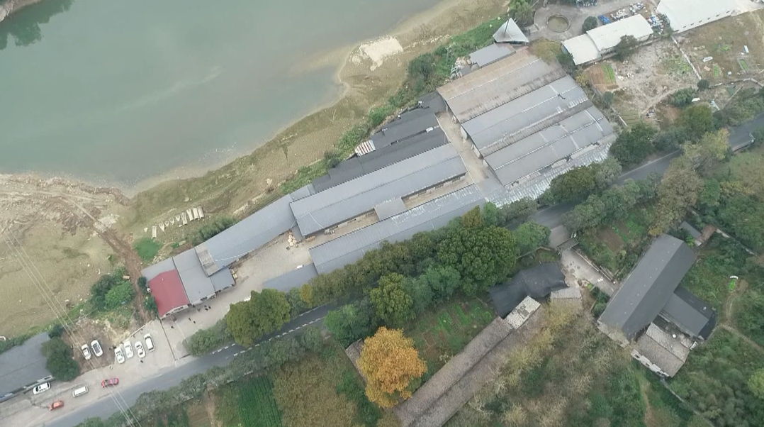 松阳：林业局出租地块出现大体量违建
