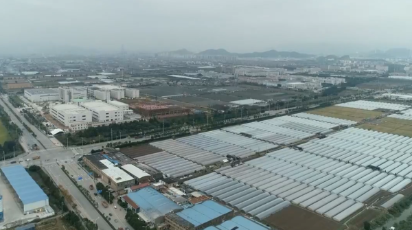 台州椒江区：八塘地块成违建企业集聚场所