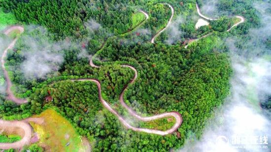 仙居：山路弯弯景如画 致富大道通农家