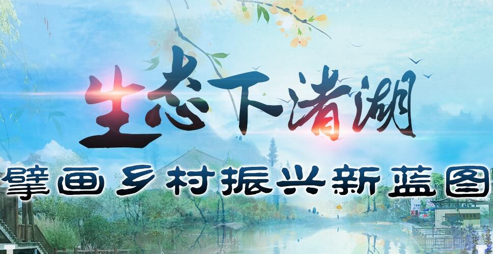 【专题】生态下渚湖：擘画乡村振兴新蓝图