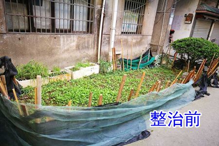 【国卫城市】杭州