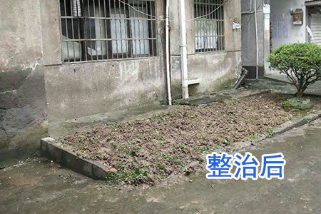 【国卫城市】杭州