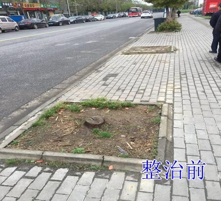 2019【国卫城市】嘉兴
