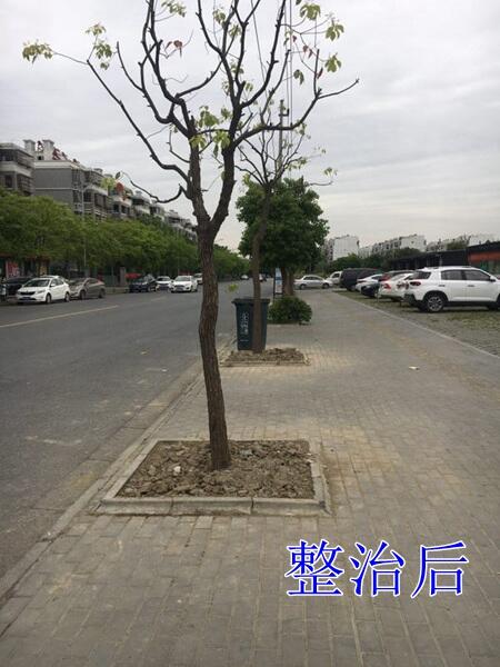 2019【国卫城市】嘉兴
