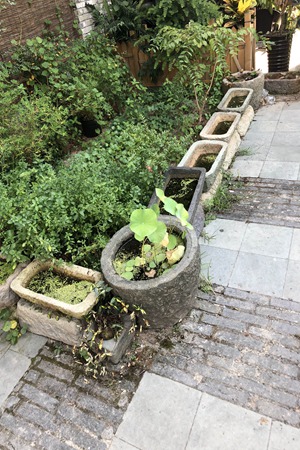2018金华综合评估4