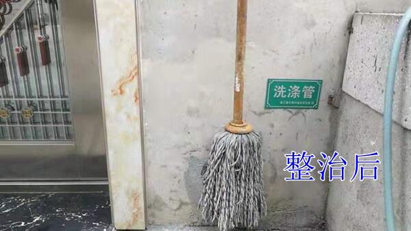 2019【国卫县城】浦江