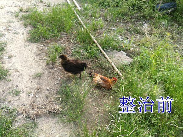 2019【国卫县城】缙云