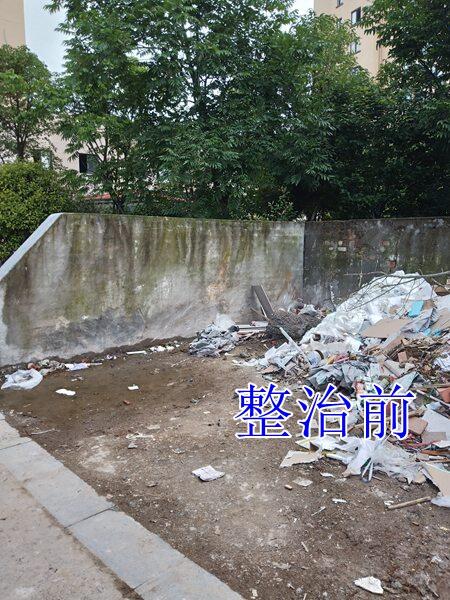 2019【国卫县城】松阳