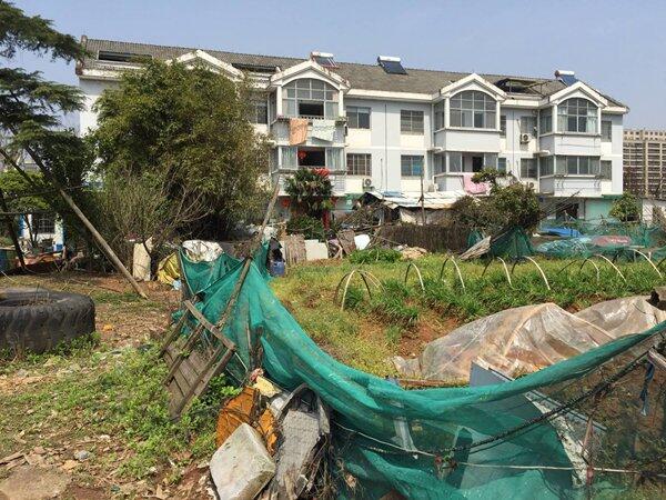 2019衢州国卫复审4