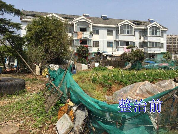 2019【国卫城市】衢州