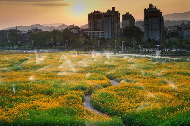 2020【国卫城市】江山