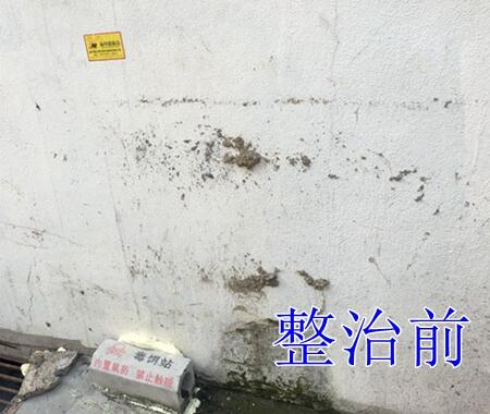 2019【国卫县城】开化