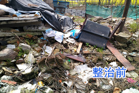【国卫城市】绍兴