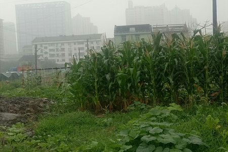 【国卫城市】绍兴