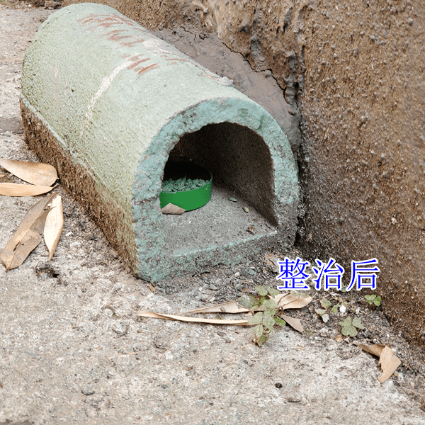 2019【国卫县城】新昌