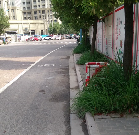 2018温州综合评估9