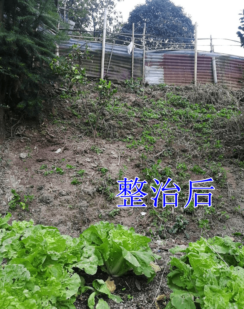 2019【国卫县城】泰顺