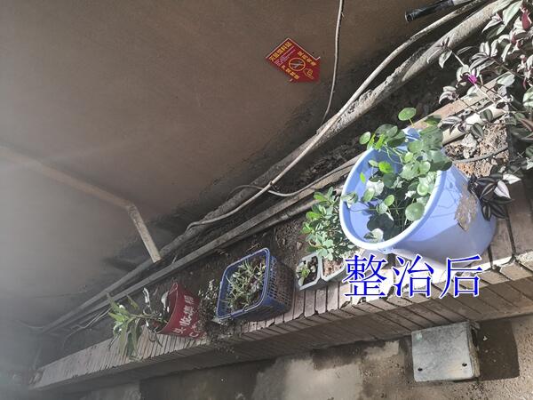 2019【国卫县城】文成