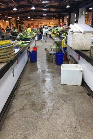 2018舟山综合评估8