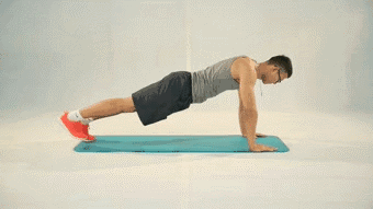 timg (1).gif