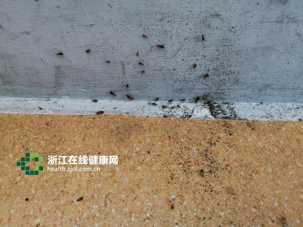 微信图片_20190128120913.jpg
