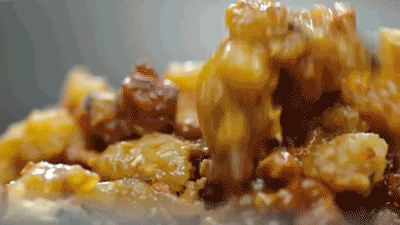 秃黄油.gif