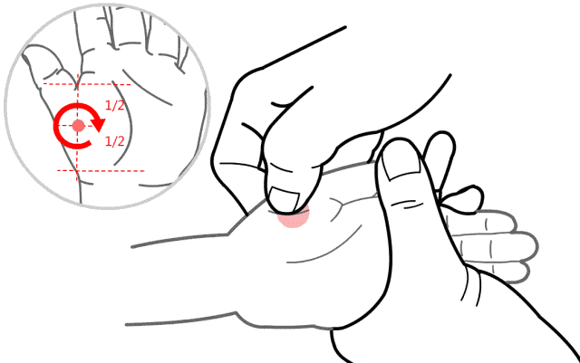 2.gif