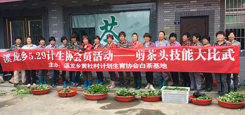 安吉县溪龙乡黄杜村计生协组织“5.29”剪茶头技能大比武支持东西部结对扶贫.jpg