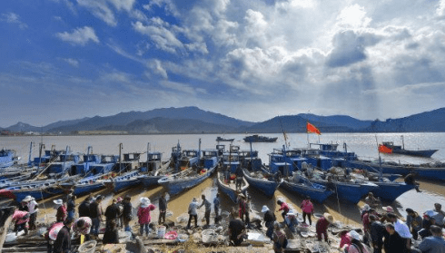 浙江第二大海湾三门湾探索省域一体化发展新路