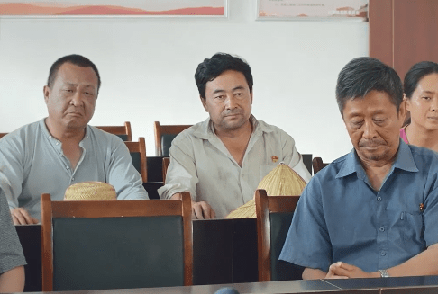 毛驴上树
