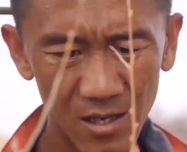 三代人造20多万亩绿洲
