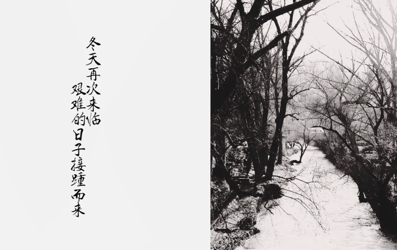 你的样子