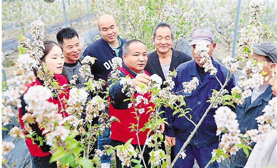 服务是否送到了一线