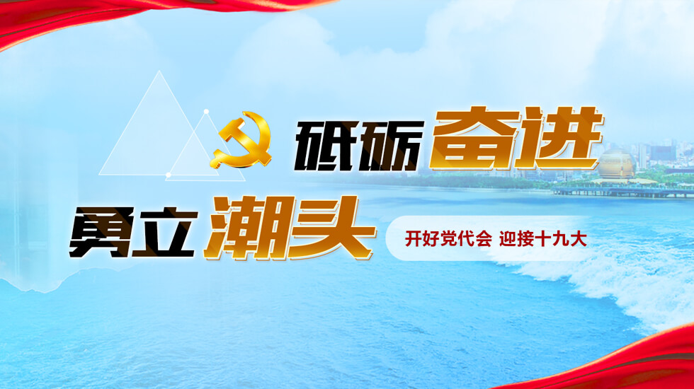 开好党代会 迎接十九大