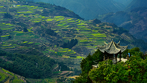 LISHUI