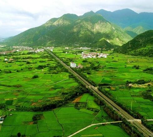 仙居：丰收田园 景美如画