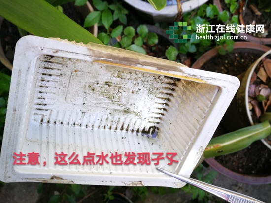 查找孳生地.jpg