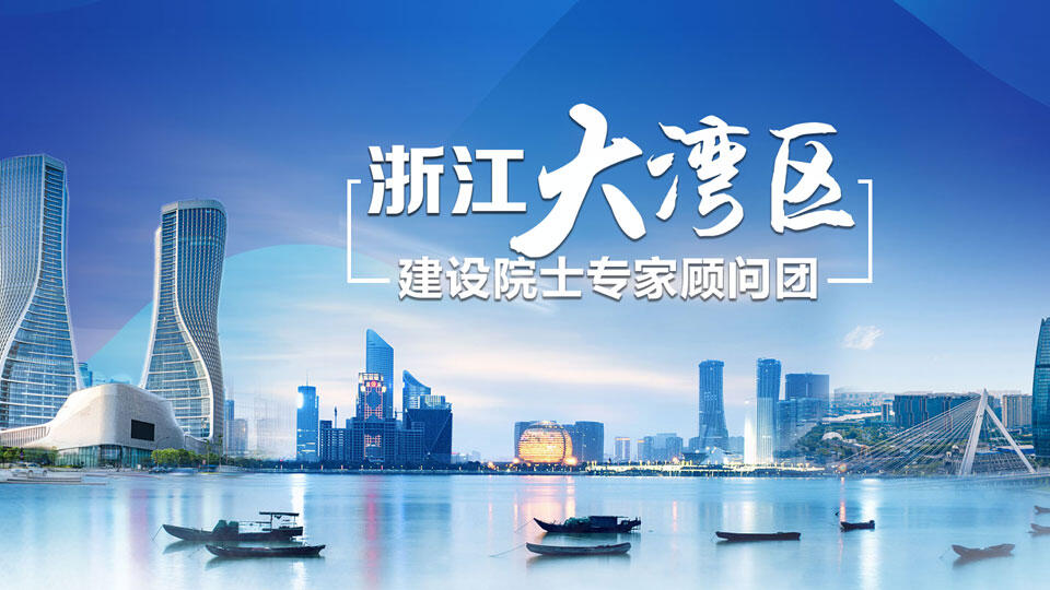 浙江省大湾区建设院士专家顾问团