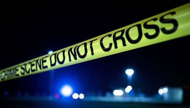 美国发生枪击案 包括枪手在内7人死亡