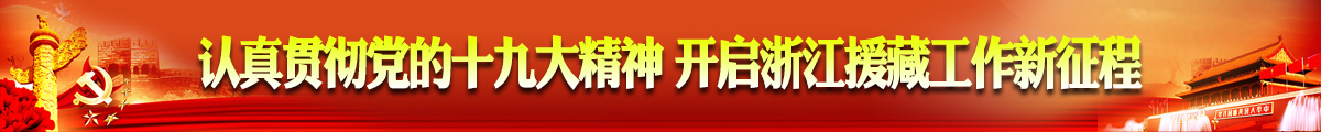 浙江援藏网