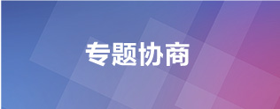 专题协商