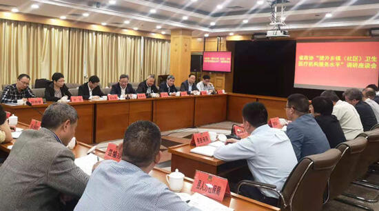2019年11月8日调研组在青田召开座谈会